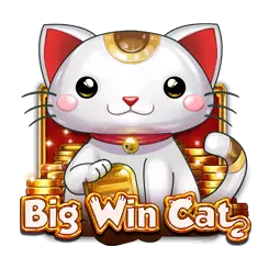big-win-cat-